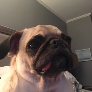 Meet your Posher, Madison